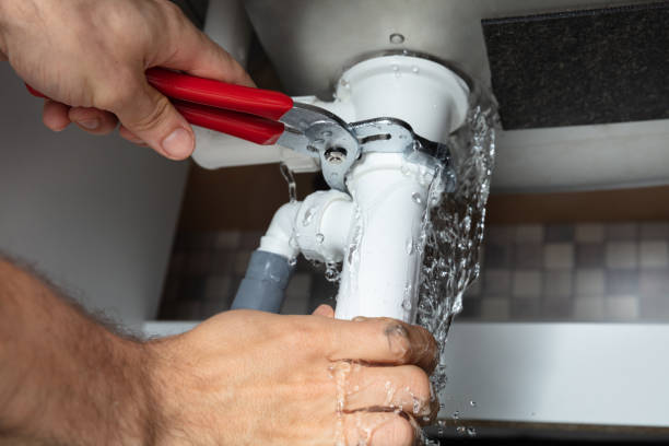 Best Water damage mitigation services  in Paris, KY