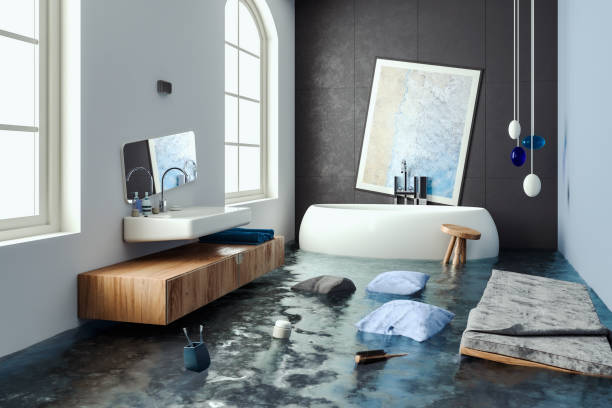 Best Water damage contractors near me  in Paris, KY