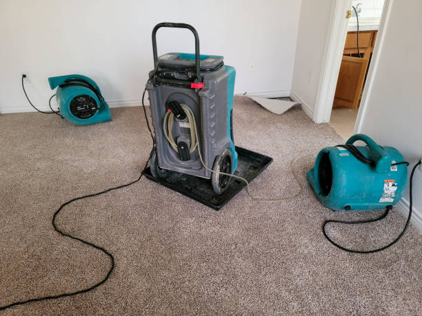 Best Flood restoration services  in Paris, KY