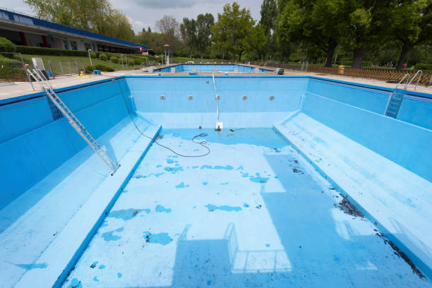 Best Flood damage cleanup  in Paris, KY