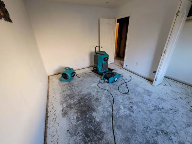  Paris, KY Water damage restoration Pros