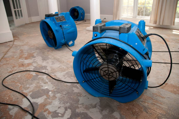 Best Professional water damage repair  in Paris, KY