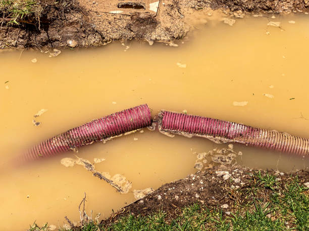 Best Water damage restoration specialists  in Paris, KY